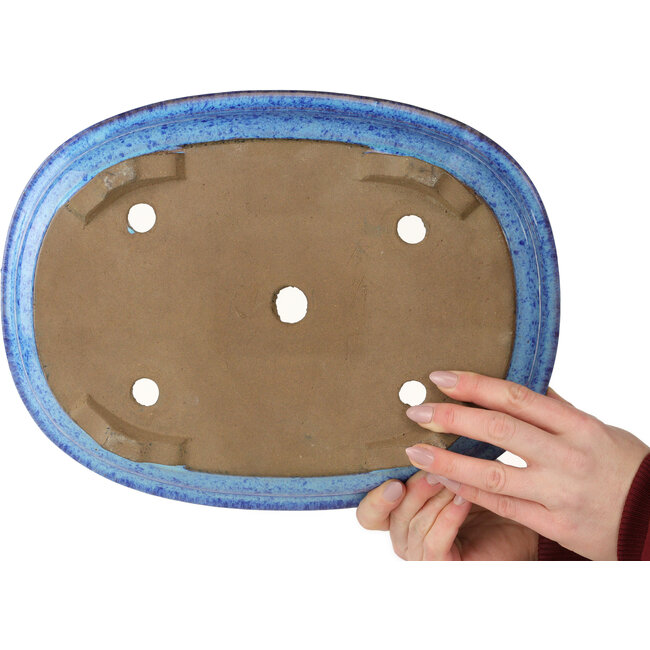 Maceta ovalada para bonsái azul oscuro de Shuhou - 335 x 255 x 65 mm