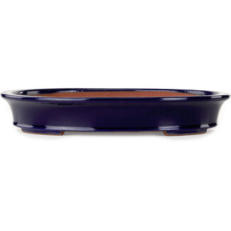 Seizan (Reihou, Kataoka Katsushi, master Seizan kiln) Vaso bonsai ovale blu scuro da 385 mm di Seizan (Reihou, Kataoka Katsushi, master Seizan kiln), Tokoname, Giappone