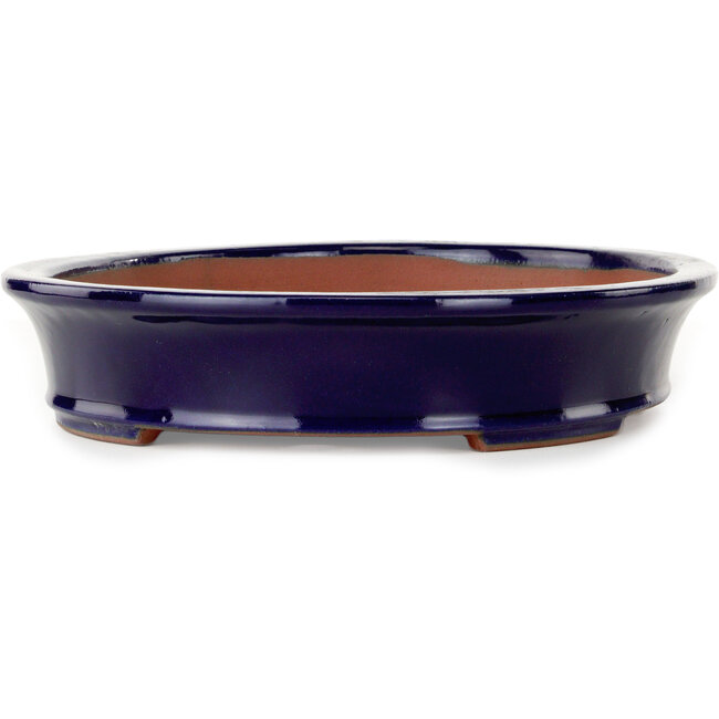 Vaso bonsai ovale blu scuro di Seizan (Reihou, Kataoka Katsushi, forno del maestro Seizan) - 385 x 295 x 60 mm