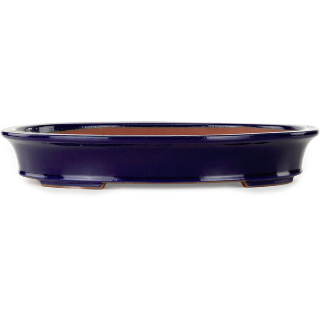 Vaso bonsai ovale blu scuro di Seizan (Reihou, Kataoka Katsushi, forno del maestro Seizan) - 385 x 295 x 60 mm
