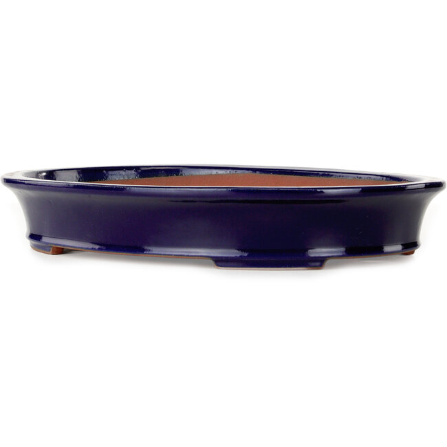 Pot à bonsaï ovale bleu foncé par Seizan (Reihou, Kataoka Katsushi, maître four Seizan) - 385 x 295 x 60 mm