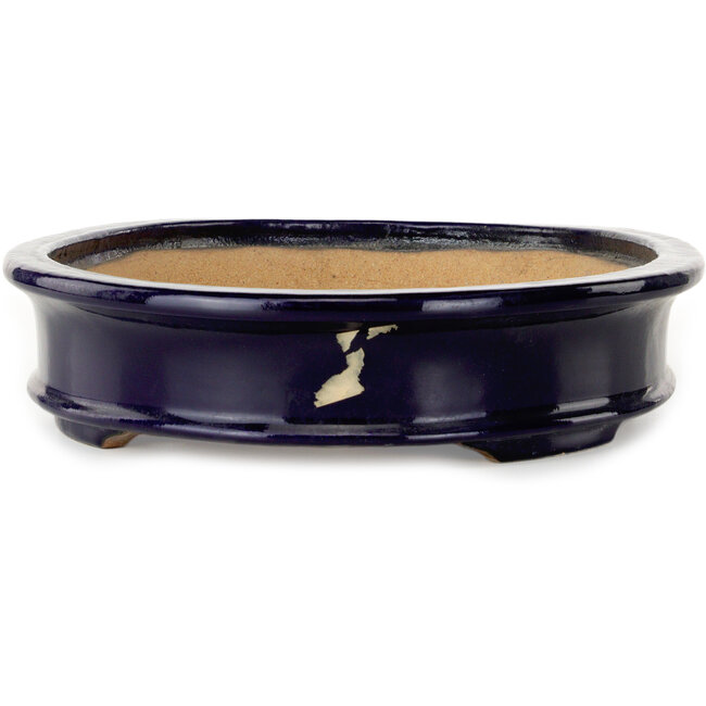 Ovaler, dunkelblauer Bonsai-Topf von Hattori – 395 x 295 x 72 mm