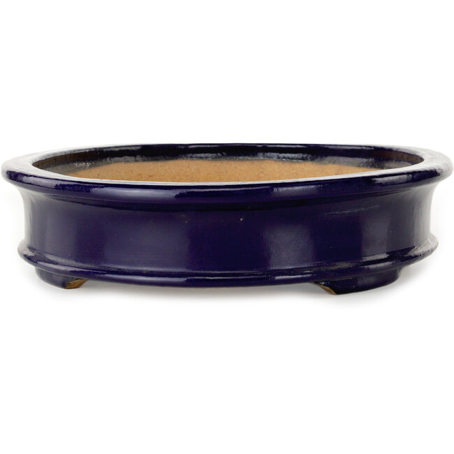 Ovaler, dunkelblauer Bonsai-Topf von Hattori – 395 x 295 x 72 mm