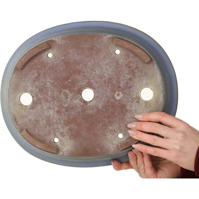 Vaso bonsai ovale blu scuro di Yamaaki - 340 x 280 x 65 mm