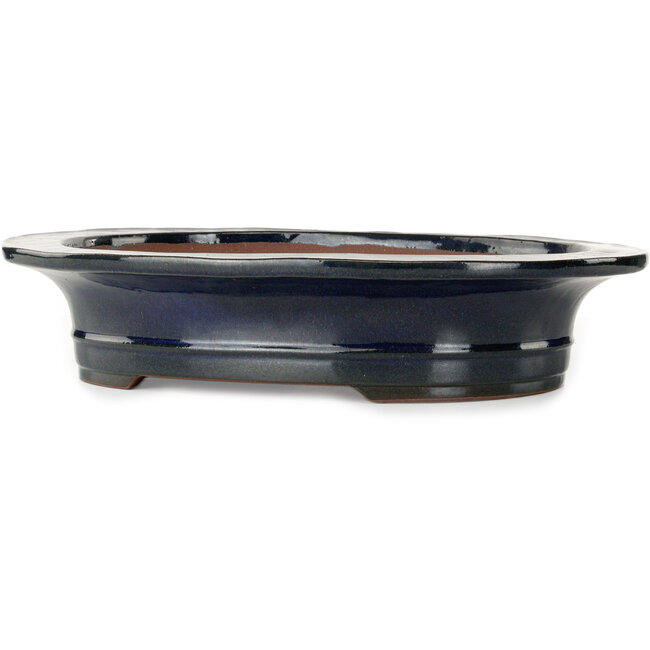 Oval dark blue bonsai pot by Kakuzan - 455 x 380 x 95 mm