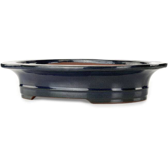 Oval dark blue bonsai pot by Kakuzan - 455 x 380 x 95 mm