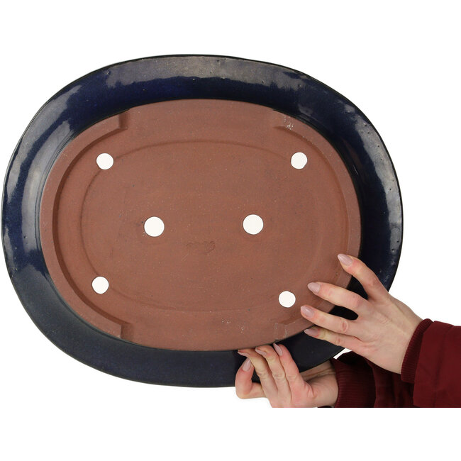 Maceta ovalada para bonsái azul oscuro de Kakuzan - 455 x 380 x 95 mm