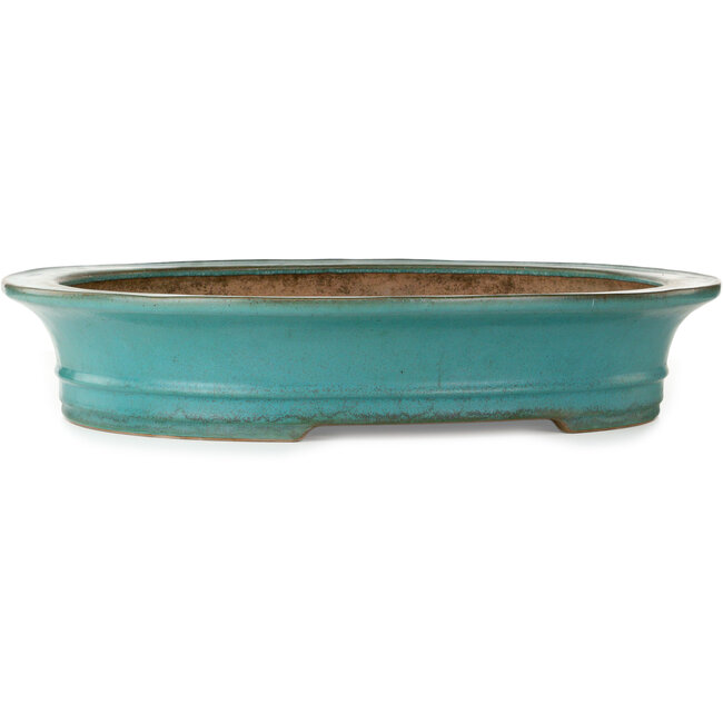 Oval turquoise bonsai pot by Seizan (Reihou, Kataoka Katsushi, master Seizan kiln) - 557 x 465 x 105 mm