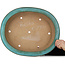 Maceta ovalada para bonsái turquesa de Seizan (Reihou, Kataoka Katsushi, maestro del horno Seizan) - 557 x 465 x 105 mm