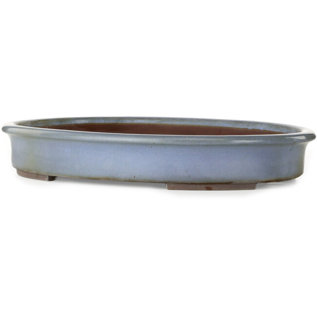 Vaso bonsai ovale blu di Yamaaki - 575 x 425 x 90 mm