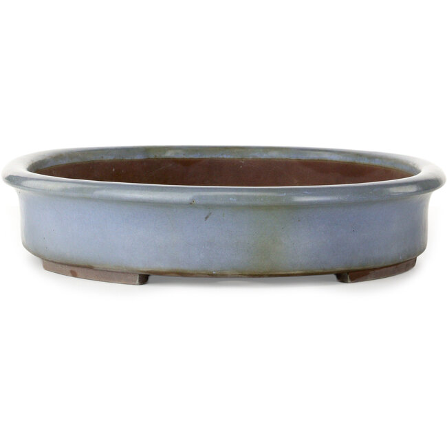 Ovaler blauer Bonsai-Topf von Yamaaki – 575 x 425 x 90 mm