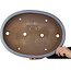 Pot à bonsaï ovale bleu de Yamaaki - 575 x 425 x 90 mm