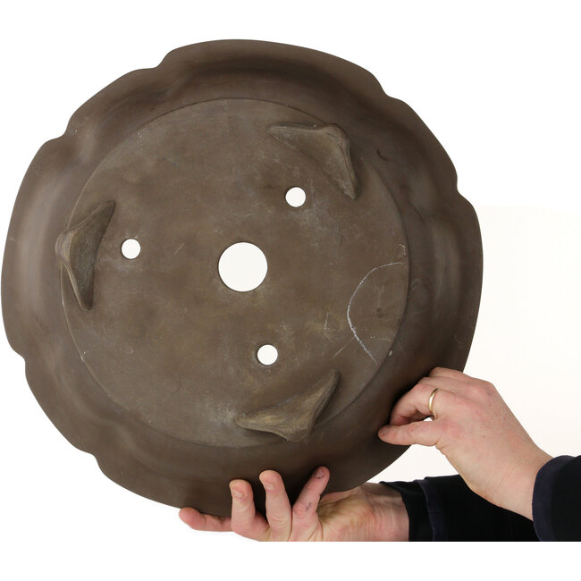 Vaso per bonsai non smaltato a forma di loto - 465 x 465 x 115 mm