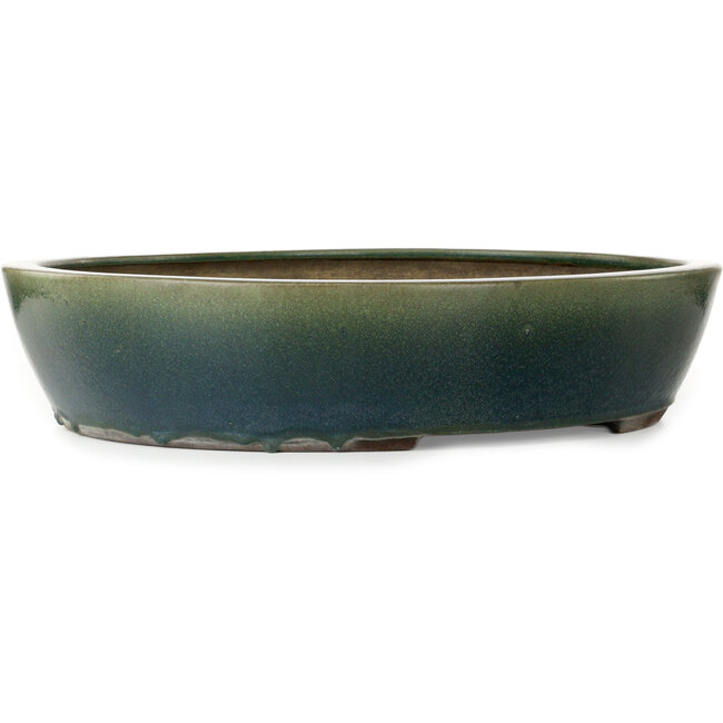 Oval green bonsai pot by Yamaaki - 535 x 460 x 110 mm