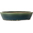 Vaso bonsai ovale verde di Yamaaki - 535 x 460 x 110 mm