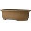 Vaso bonsai ovale non smaltato di Maruhei - 615 x 455 x 180 mm