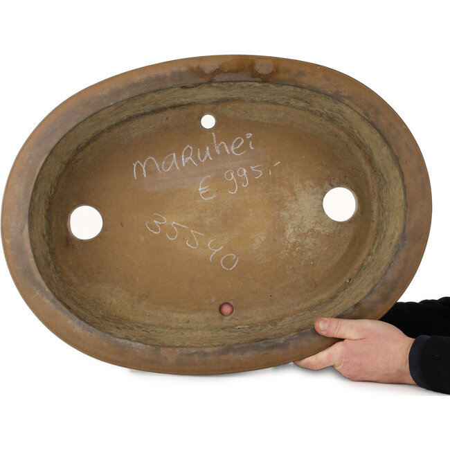 Ovale, ongeglazuurde bonsaipot van Maruhei - 615 x 455 x 180 mm