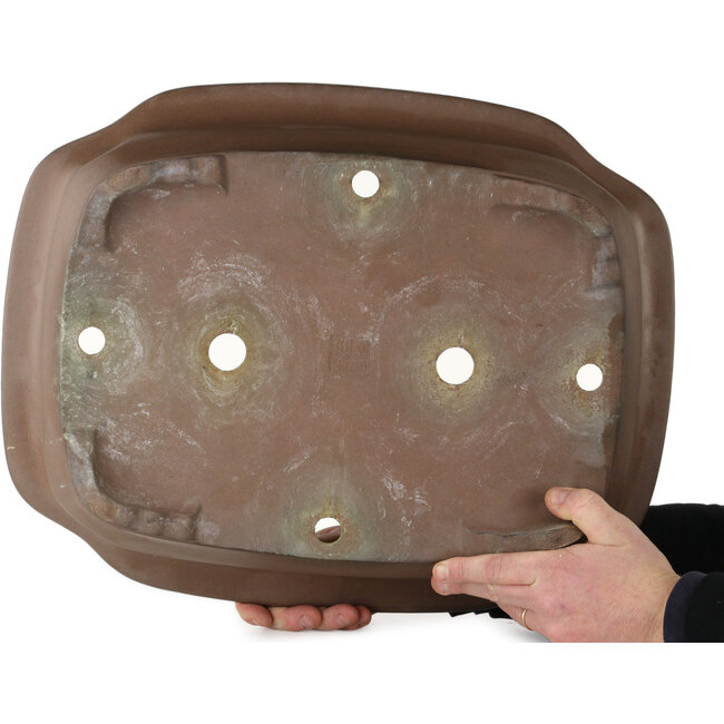 Unglasierte Bonsaischale „Mokko“ von Keizan – 565 x 443 x 168 mm