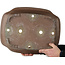 Mokko ongeglazuurde bonsaipot van Keizan - 565 x 443 x 168 mm