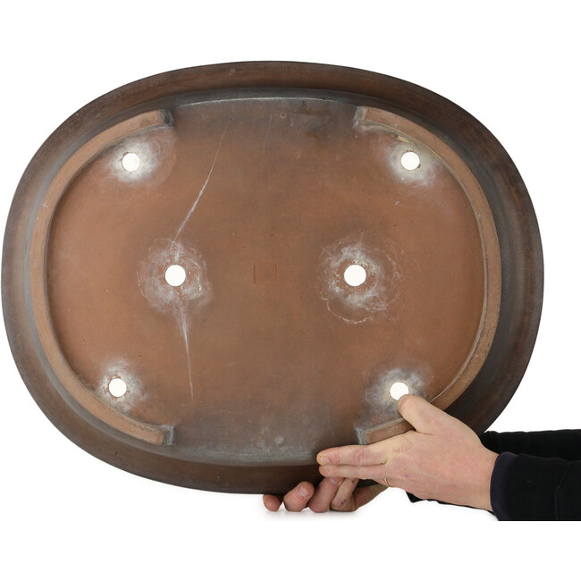 Ovaler, unglasierter Bonsaitopf von Seizan (Mr. Kataoka Makoto) – 657 x 525 x 152 mm