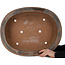 Ovale ongeglazuurde bonsaipot van Seizan (Mr. Kataoka Makoto) - 657 x 525 x 152 mm