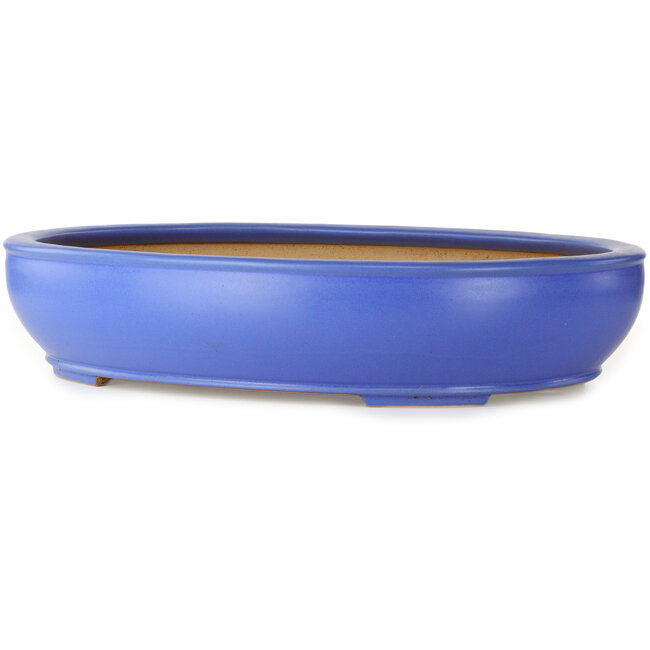 Oval blue bonsai pot by Seizan (Reihou, Kataoka Katsushi, master Seizan kiln) - 565 x 450 x 115 mm
