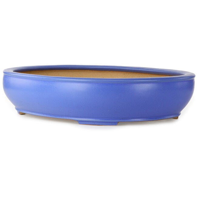 Maceta ovalada para bonsái azul de Seizan (Reihou, Kataoka Katsushi, maestro del horno Seizan) - 565 x 450 x 115 mm