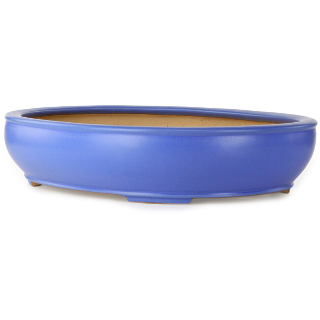 Ovaler blauer Bonsaitopf von Seizan (Reihou, Kataoka Katsushi, Meister Seizan-Ofen) – 565 x 450 x 115 mm