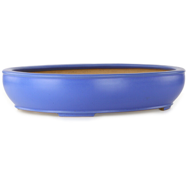 Ovaler blauer Bonsaitopf von Seizan (Reihou, Kataoka Katsushi, Meister Seizan-Ofen) – 565 x 450 x 115 mm
