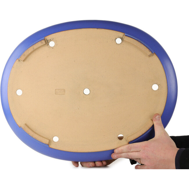 Ovaler blauer Bonsaitopf von Seizan (Reihou, Kataoka Katsushi, Meister Seizan-Ofen) – 565 x 450 x 115 mm