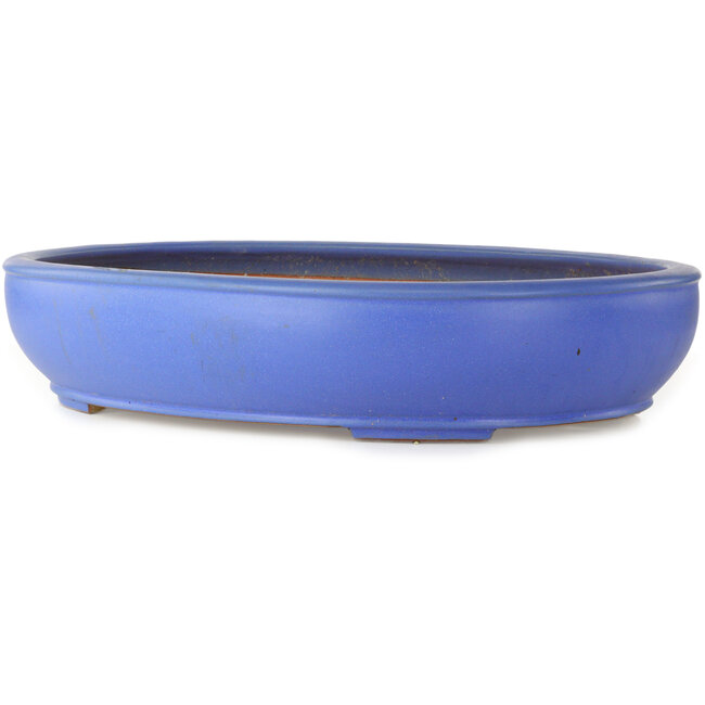 Oval blue bonsai pot by Seizan (Reihou, Kataoka Katsushi, master Seizan kiln) - 560 x 450 x 115 mm