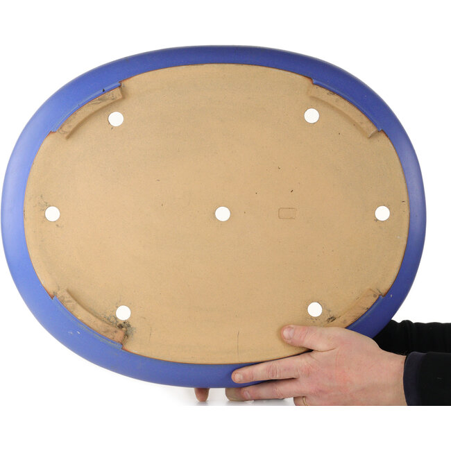 Ovale blauwe bonsaipot van Seizan (Reihou, Kataoka Katsushi, meester Seizan oven) - 560 x 450 x 115 mm