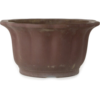  Yamaaki Vaso bonsai non smaltato con loto da 430 mm di Yamaaki, Tokoname, Giappone