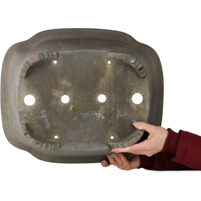 Mokko unglazed bonsai pot by Yamaaki - 480 x 400 x 180 mm