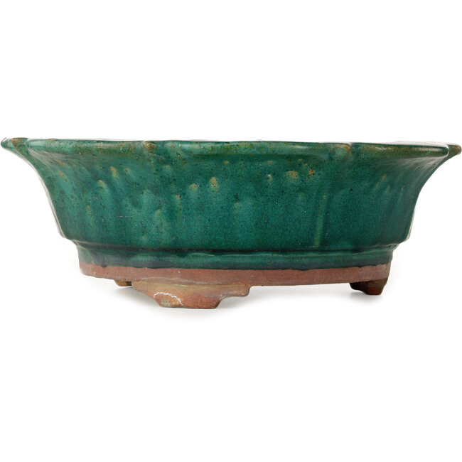 Pot à bonsaï vert lotus de Kanto - 470 x 470 x 155 mm