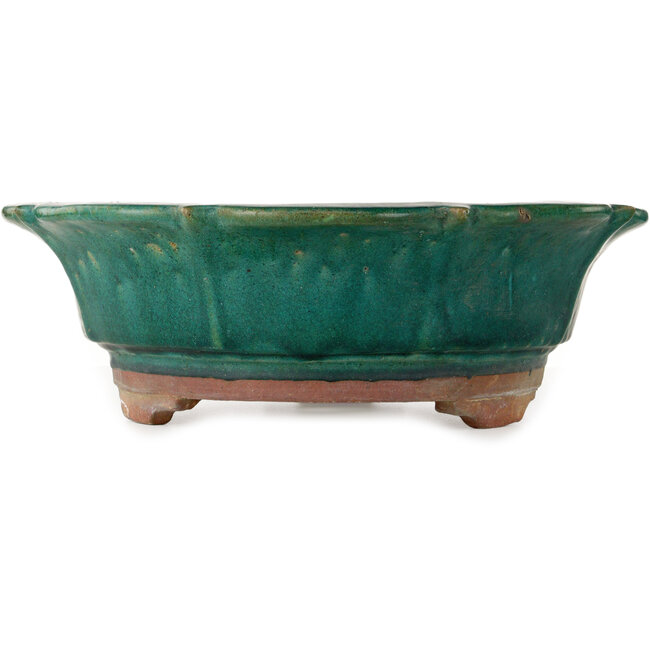 Lotus green bonsai pot by Kanto - 470 x 470 x 155 mm