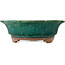 Lotus green bonsai pot by Kanto - 470 x 470 x 155 mm