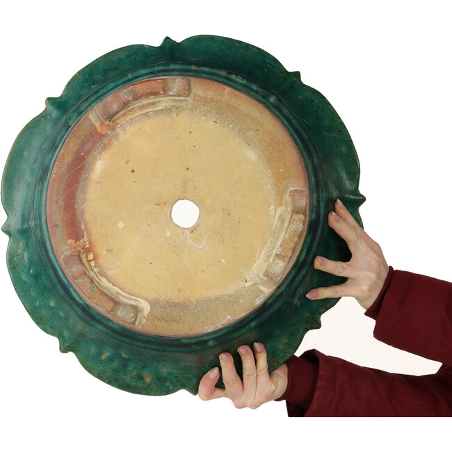 Maceta para bonsái verde loto de Kanto - 470 x 470 x 155 mm