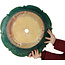 Lotus green bonsai pot by Kanto - 470 x 470 x 155 mm
