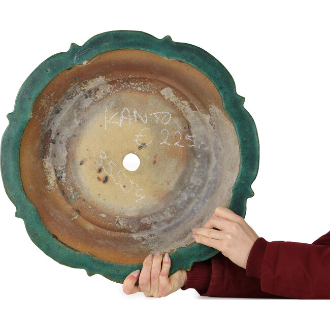 Lotusgrüner Bonsaitopf von Kanto – 470 x 470 x 155 mm