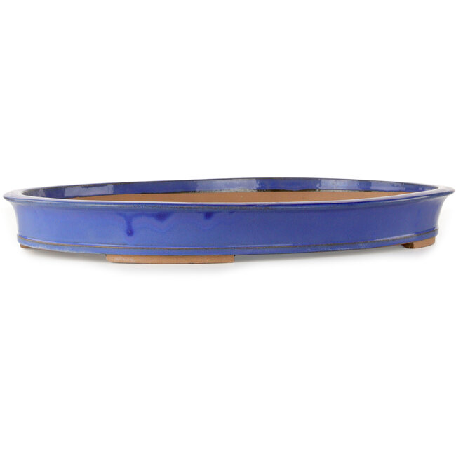 Pot ovale bleu pour bonsaï - 498 x 385 x 58 mm