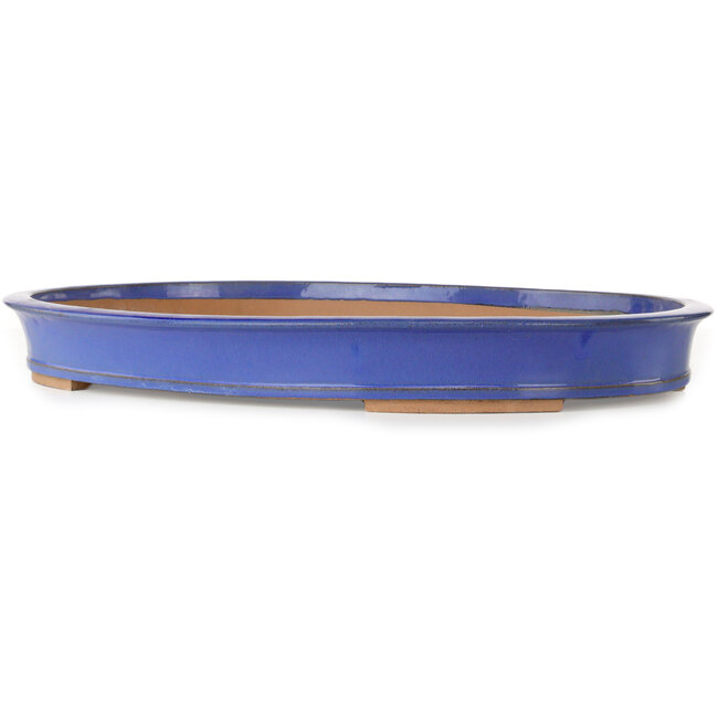 Pot ovale bleu pour bonsaï - 498 x 385 x 58 mm