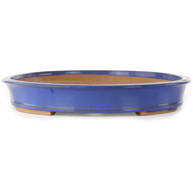 Pot ovale bleu pour bonsaï - 498 x 385 x 58 mm