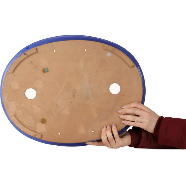 Oval blue bonsai pot - 498 x 385 x 58 mm