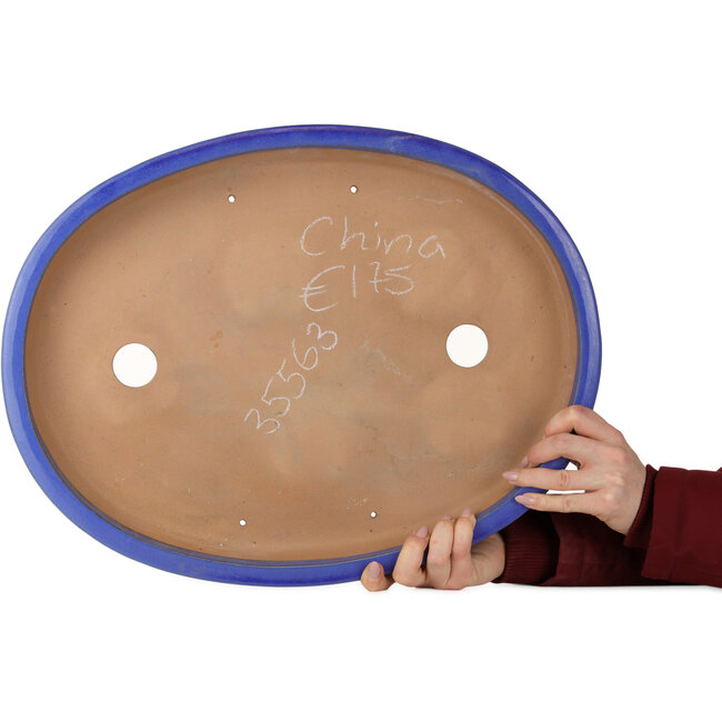 Pot ovale bleu pour bonsaï - 498 x 385 x 58 mm