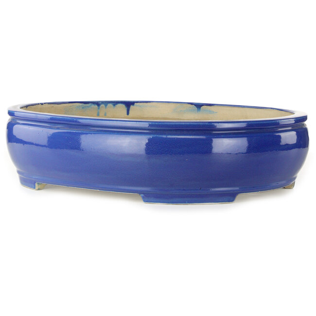 Pot ovale bleu pour bonsaï de Mazan - 525 x 437 x 125 mm
