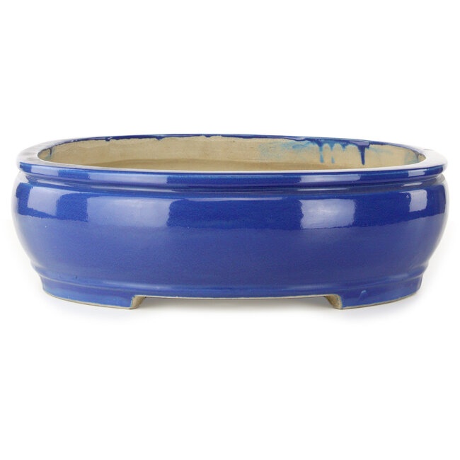 Pot ovale bleu pour bonsaï de Mazan - 525 x 437 x 125 mm