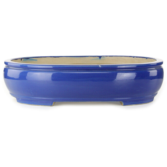 Vaso bonsai ovale blu di Mazan - 525 x 437 x 125 mm