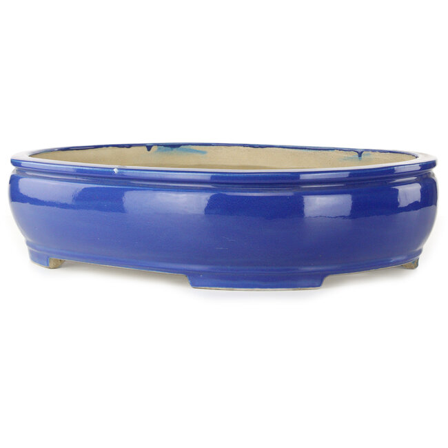 Pot ovale bleu pour bonsaï de Mazan - 525 x 437 x 125 mm