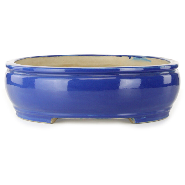 Pot ovale bleu pour bonsaï de Mazan - 525 x 437 x 125 mm